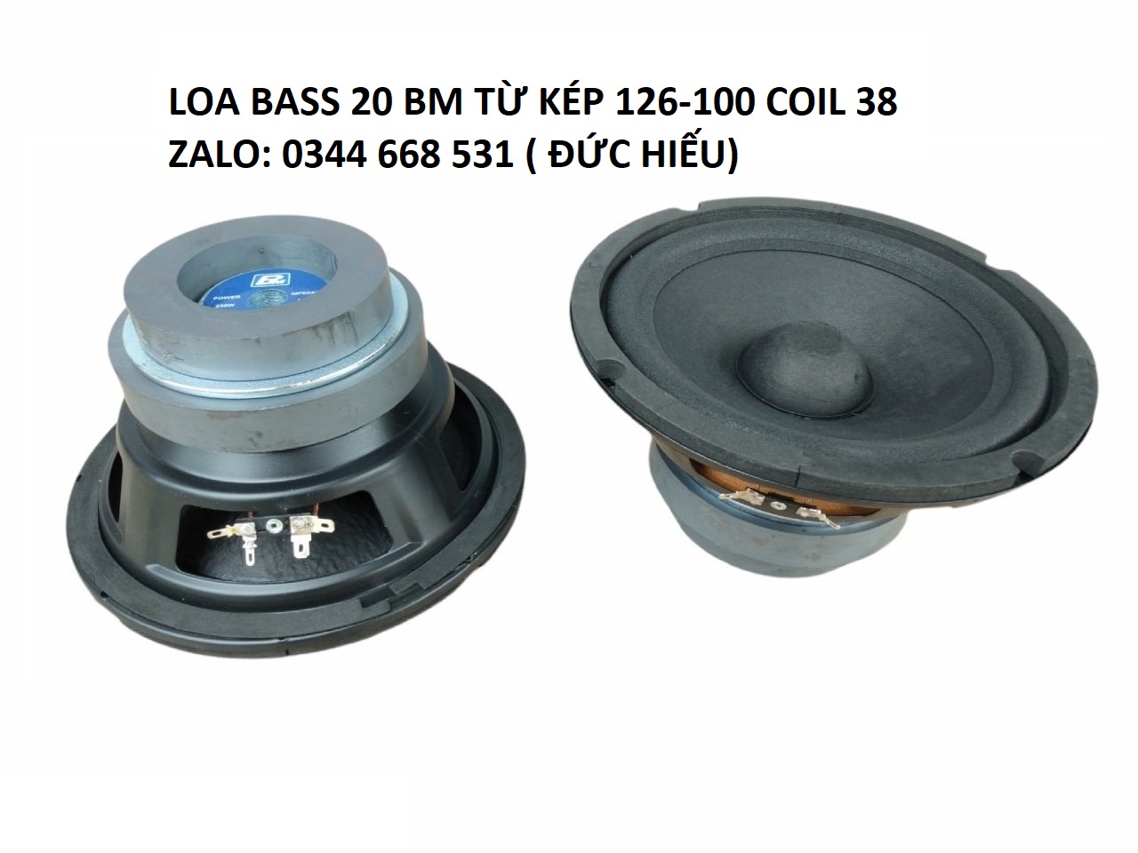 MỘT CỦ LOA BASS 20 TỪ KÉP (126 - 100)