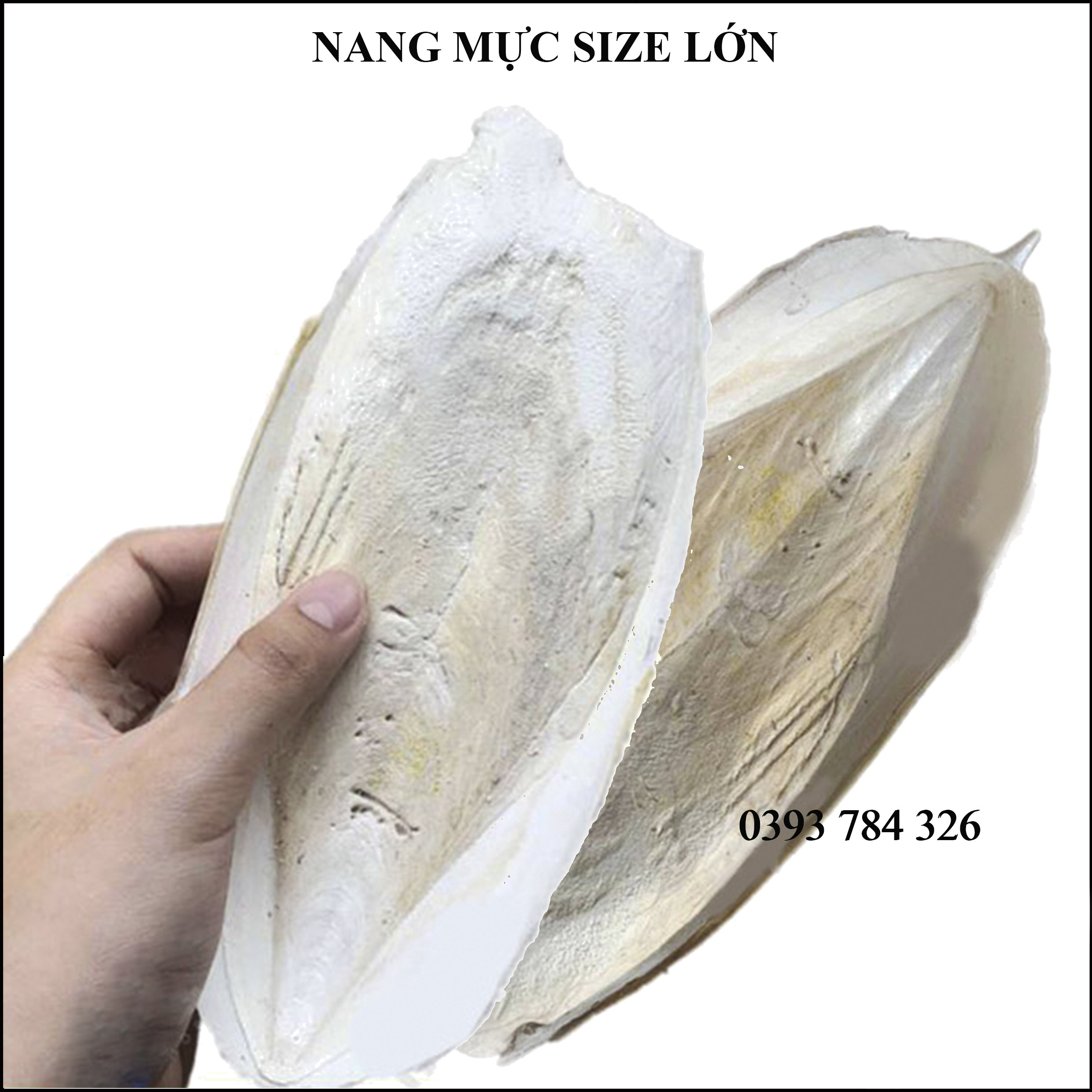 200g Nang Mực ( Mai Mực ) Khô Xuất Khẩu Làm Thức Ăn Cho Chim Yến Phụng, Vẹt, Két,...Size 6-25cm