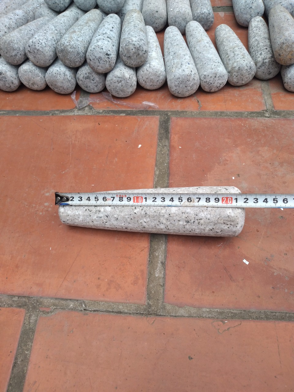 CHÀY ĐÁ DÀI 22CM