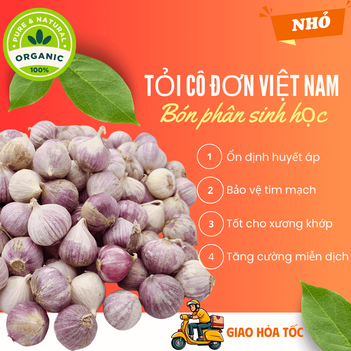 [Organic] [HCM] 1kg Tỏi cô đơn Việt Nam, tỏi mồ côi thơm ngon, tỏi 1 nhánh chắc củ loại NHỎ không hóa chất tăng trưởng, tốt cho sức khỏe - thương hiệu VỢ CHỒNG TÔI