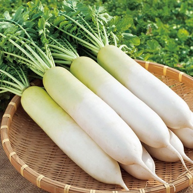 20gr_hạt giống củ cải trắng