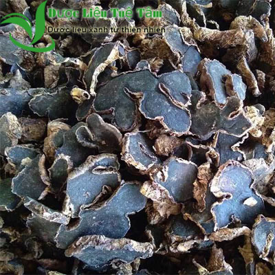 Củ gừng đen - Củ ngải tím - Sản phẩm sấy khô cao cấp của công ty - Chứng nhận đạt chuẩn ATVSTP Của thành phố - Gói 500gr