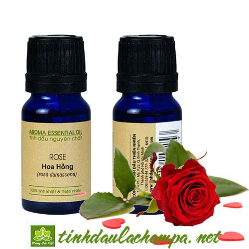 [HCM]TINH DẦU NGỌC HOA HỒNG LA CHAMPA (LỌ 10ML) ROSE OIL - GIÚP THƯ GIÃN GIẢM STRESS TẠO HƯƠNG QUYẾN RŨ CHO PHÒNG NGỦ