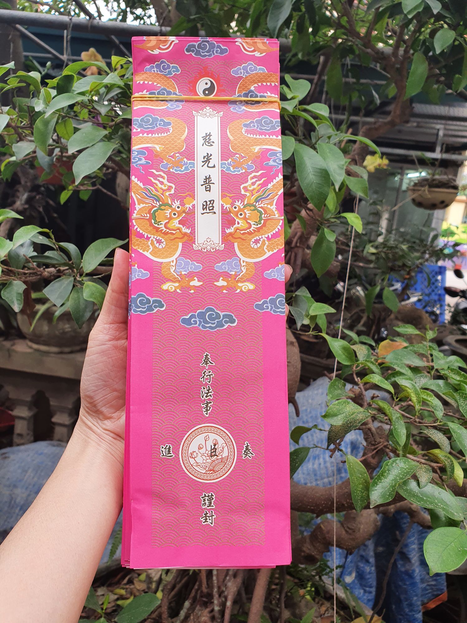 200 Vỏ sớ long vân khánh hội  9x31cm