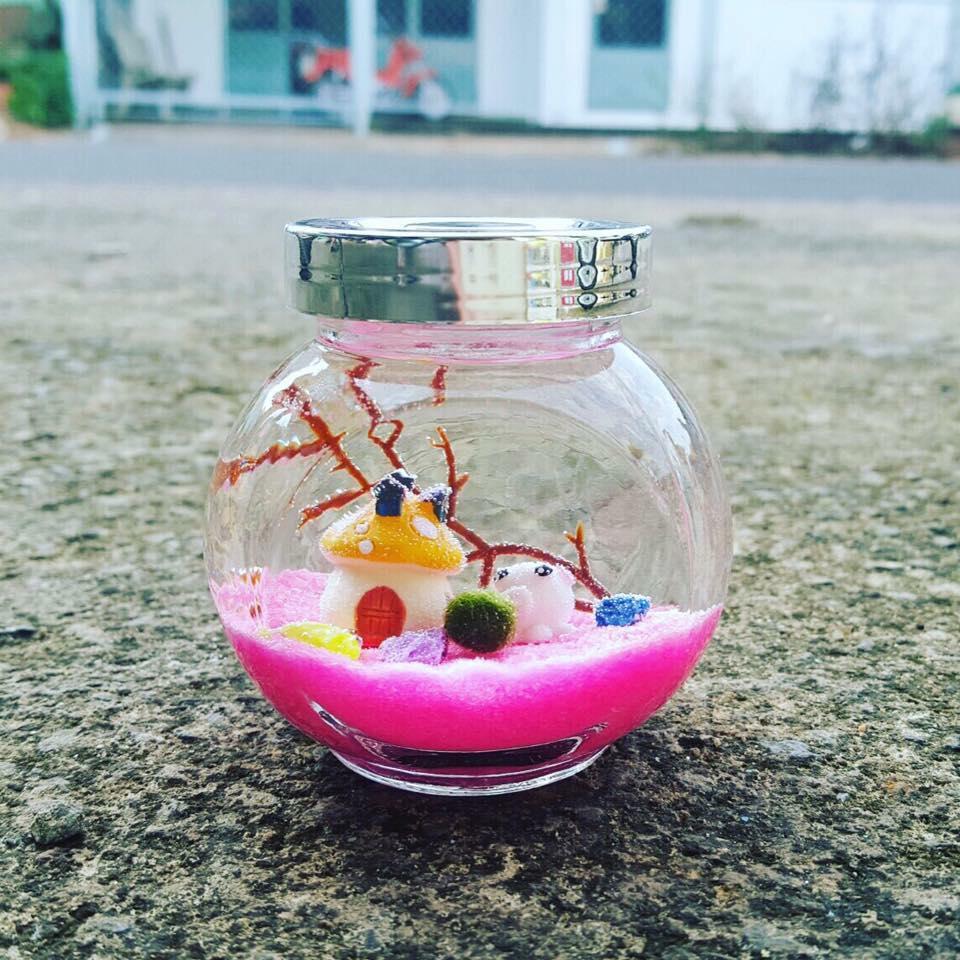 Lọ Marimo size lớn ngôi nhà của chú bạch tuột