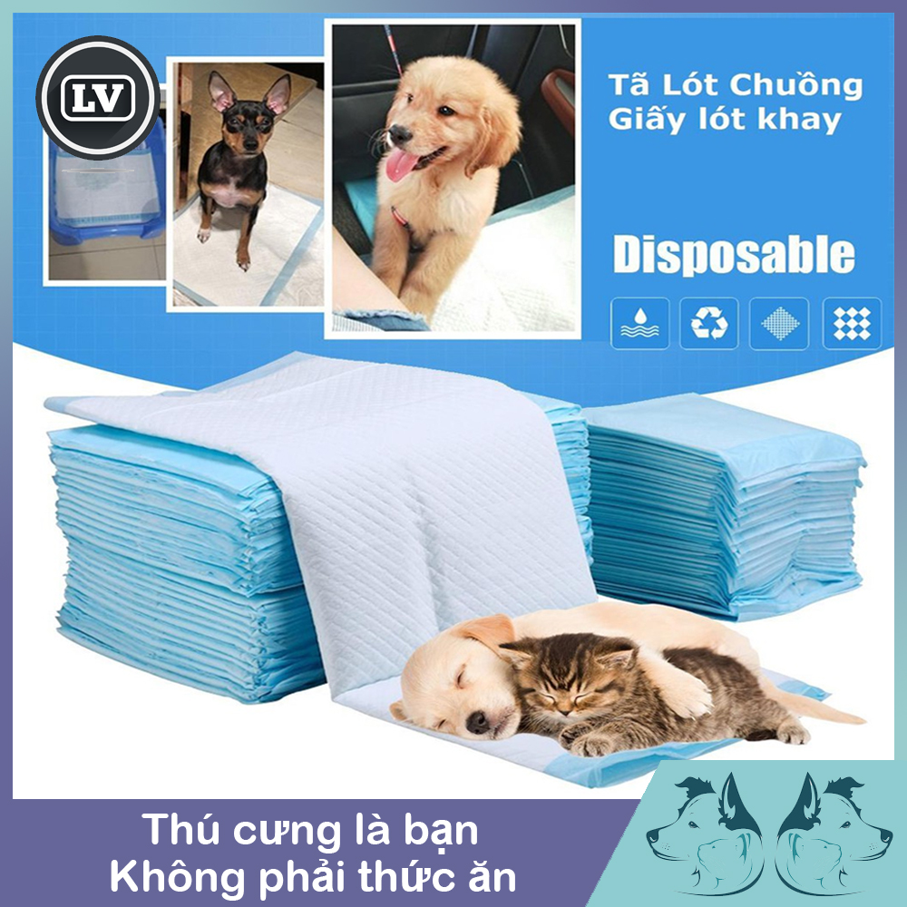 Tấm lót thấm hút nước tiểu, ổ đẻ cho chó mèo lớn. Tấm lót vệ sinh cho thú cưng PAD PET TRAINNING Phụ kiện Long Vũ
