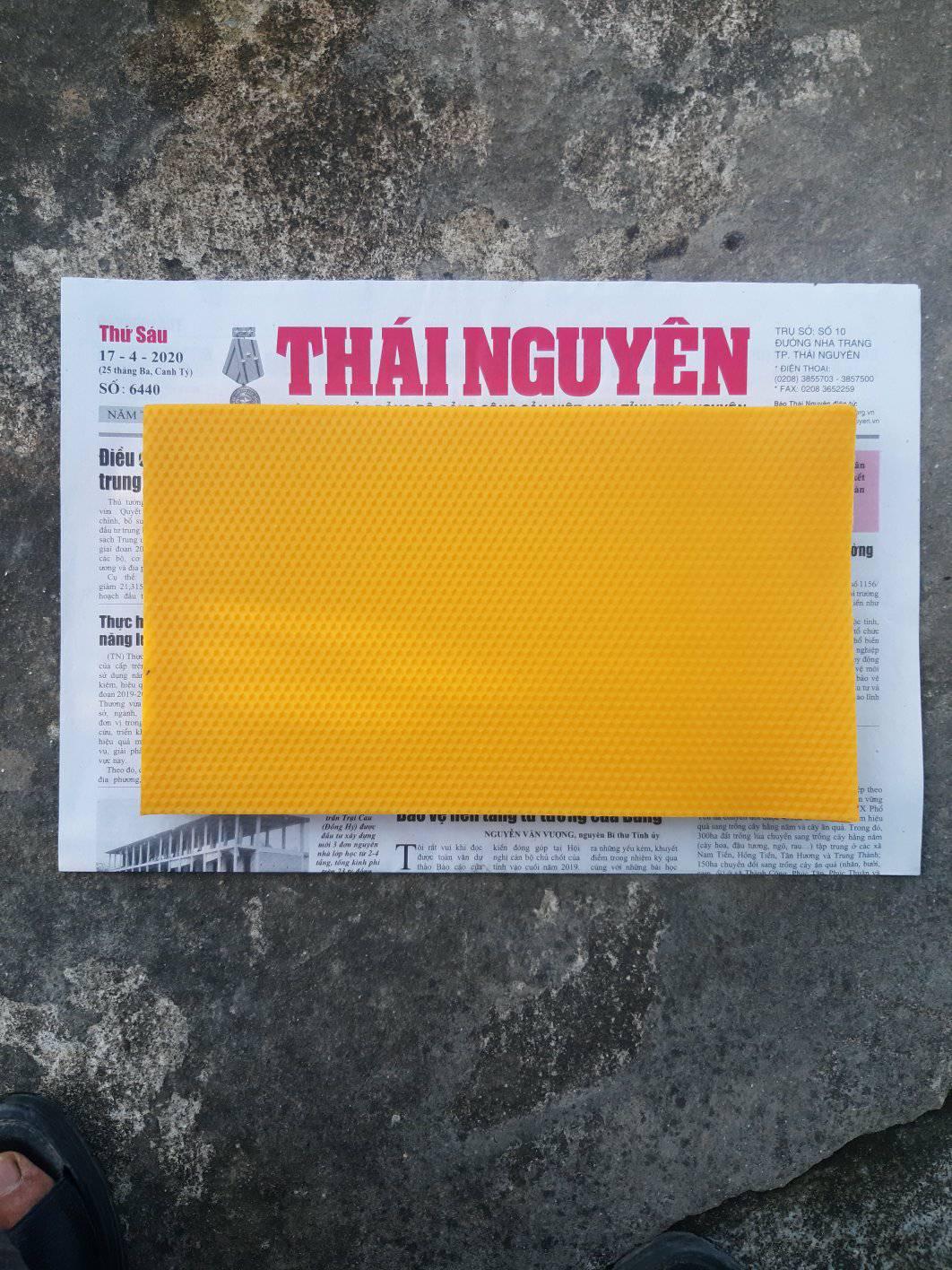 10 tấm chân tầng ong nội cầu 42.