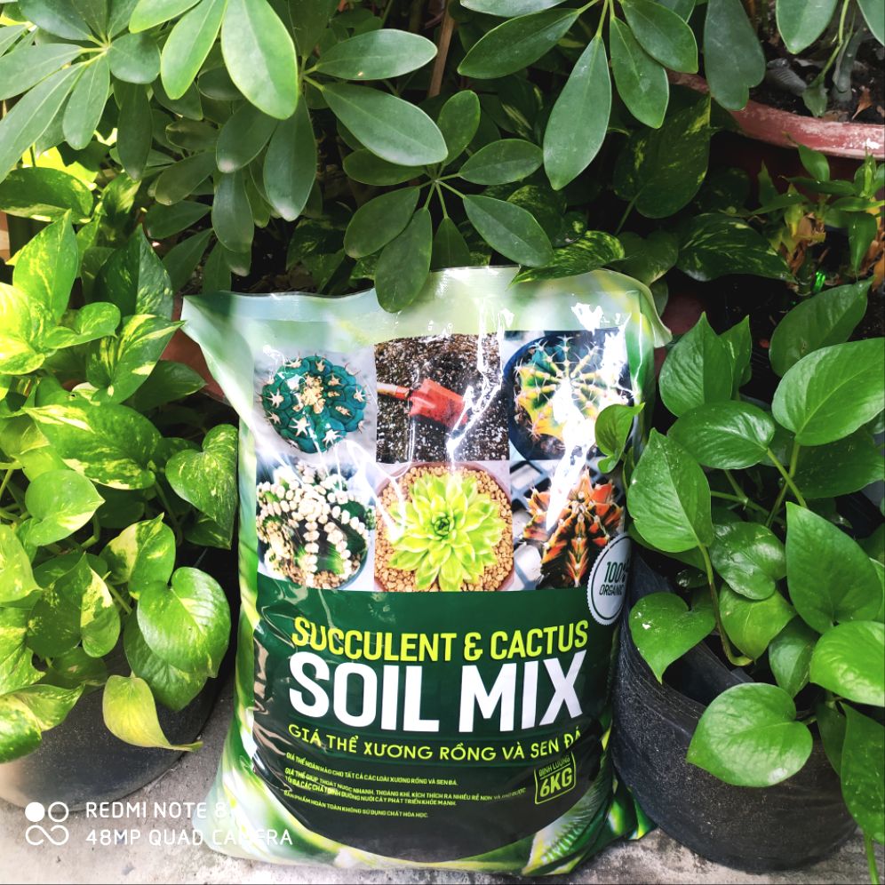 [HCM]Đất Trồng Sen Đá Xương Rồng Soil Mix (6kg)