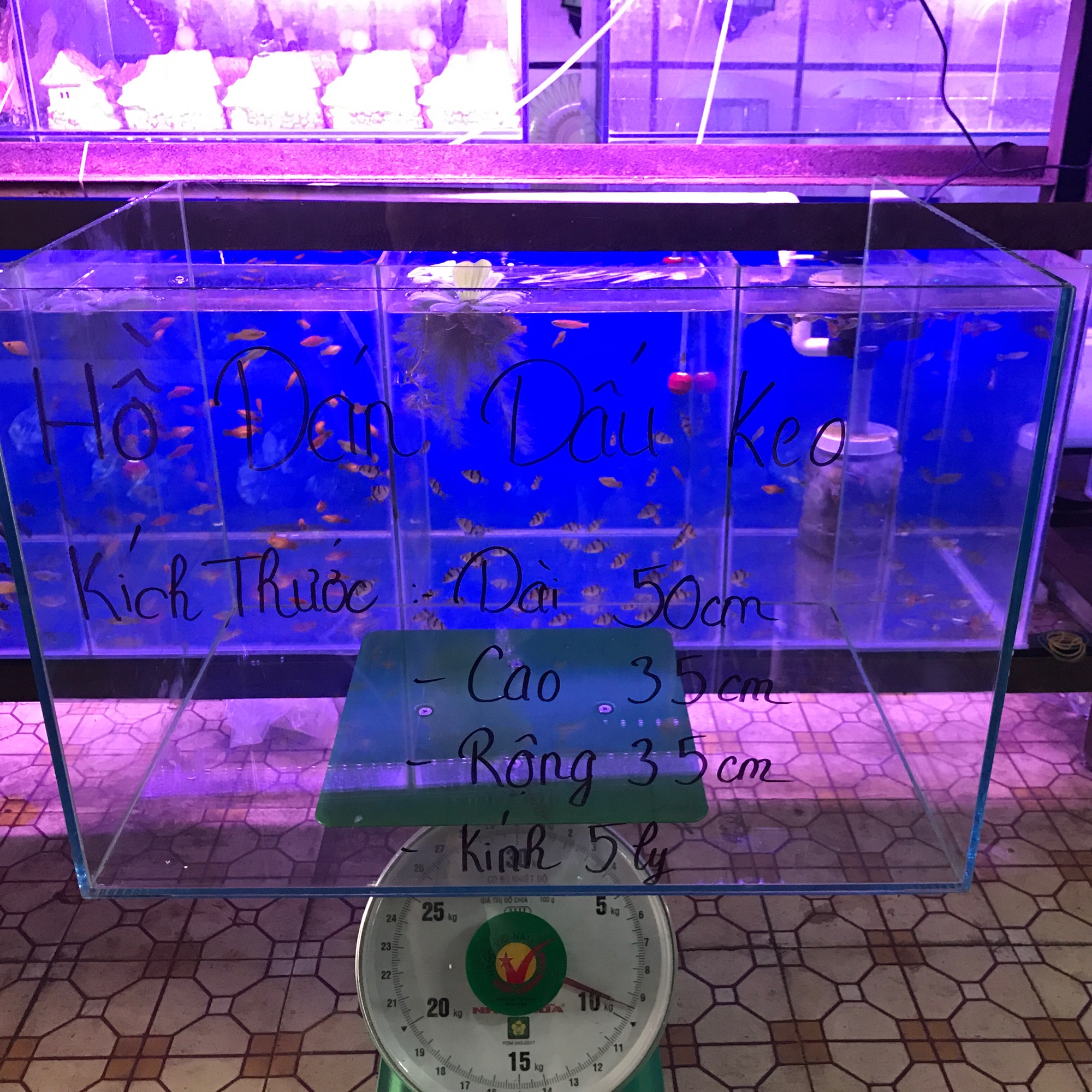 [FreeshipMAX] {RẺ VÔ ĐỊCH} bể cá. Hồ cá cảnh.dài 50cm . Hồ dán dấu keo an toàn sử dụng