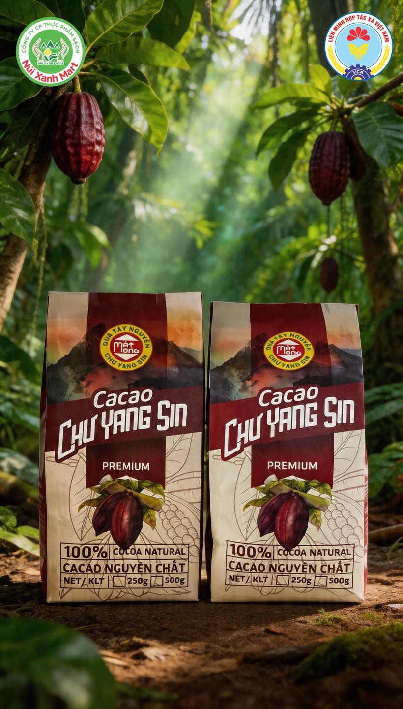 CA CAO NGUYÊN CHẤT THƯỢNG HẠNG – CHƯ YANG SIN PREMIUM – ĐẶC SẢN TÂY NGUYÊN ĐẮK LẮK