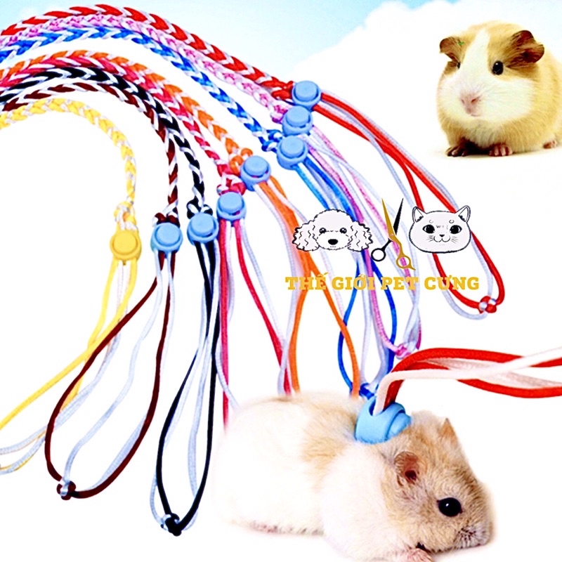 Dây dắt hamster thỏ bọ đi dạo