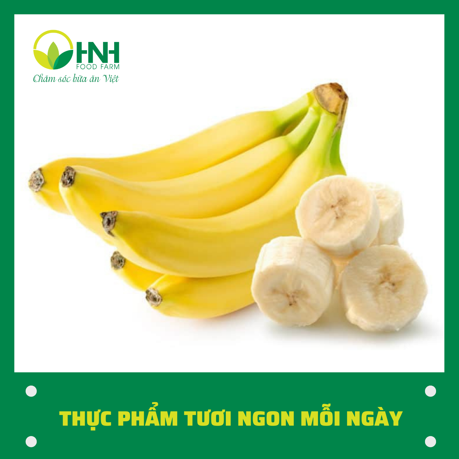 [CHỈ GIAO HÀ NỘI] Chuối tiêu size to 10 quả sạch chuẩn ngon, trợ giá mùa dịch - HNH Food Farm