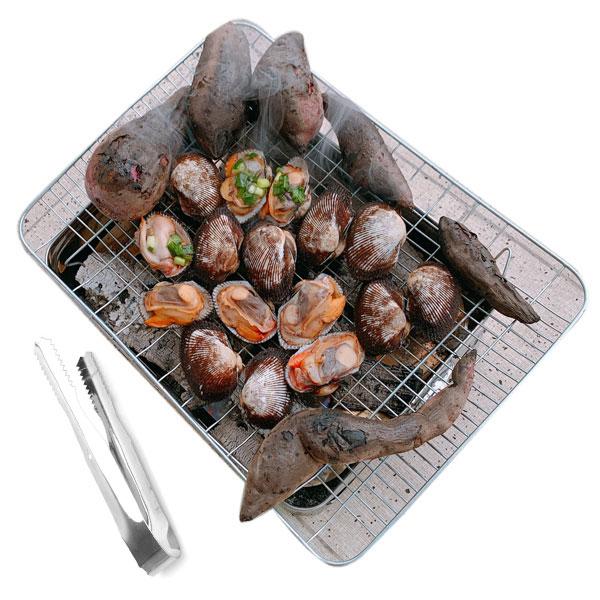 Lò nướng than inox du lịch size đại 45x35cm kèm gắp inox