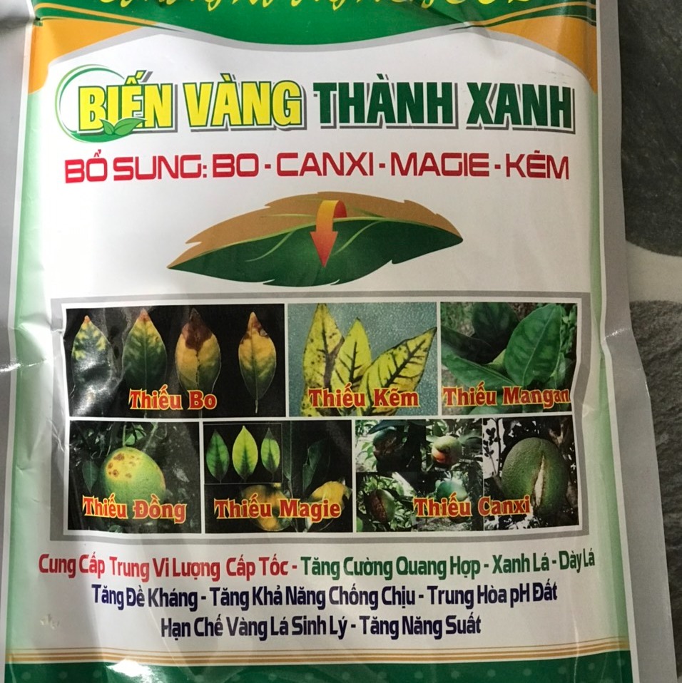 phân bón vi lượng Biến vàng thành xanh