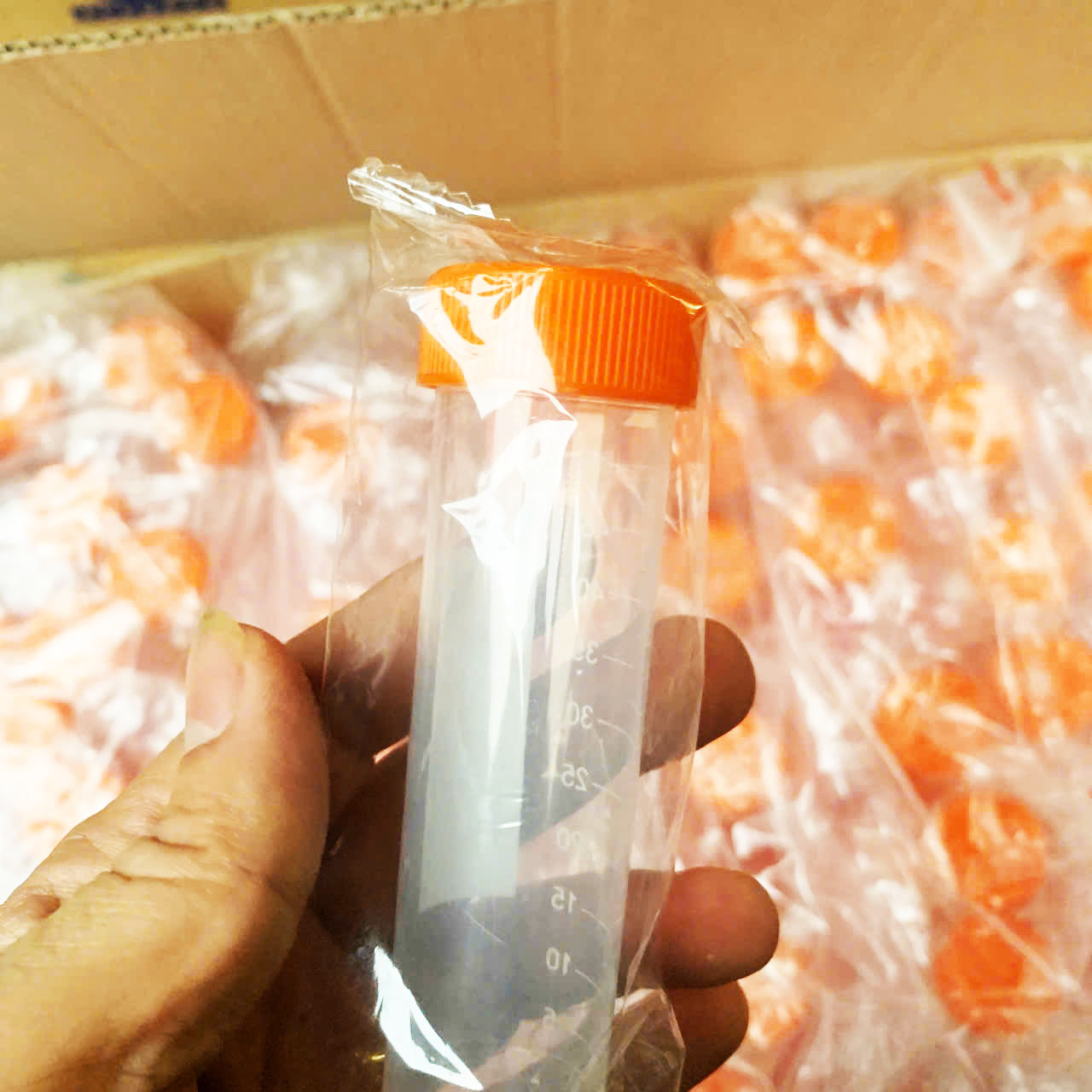Ống Ly Tâm Falcon 50ml Tiệt Trùng – y tế dùng xét nghiệm