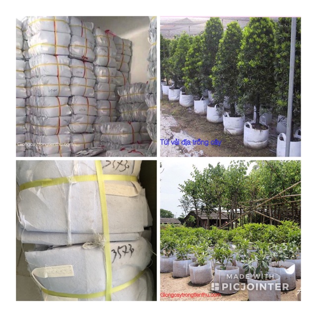 Combo-5 túi vải địa trồng cây