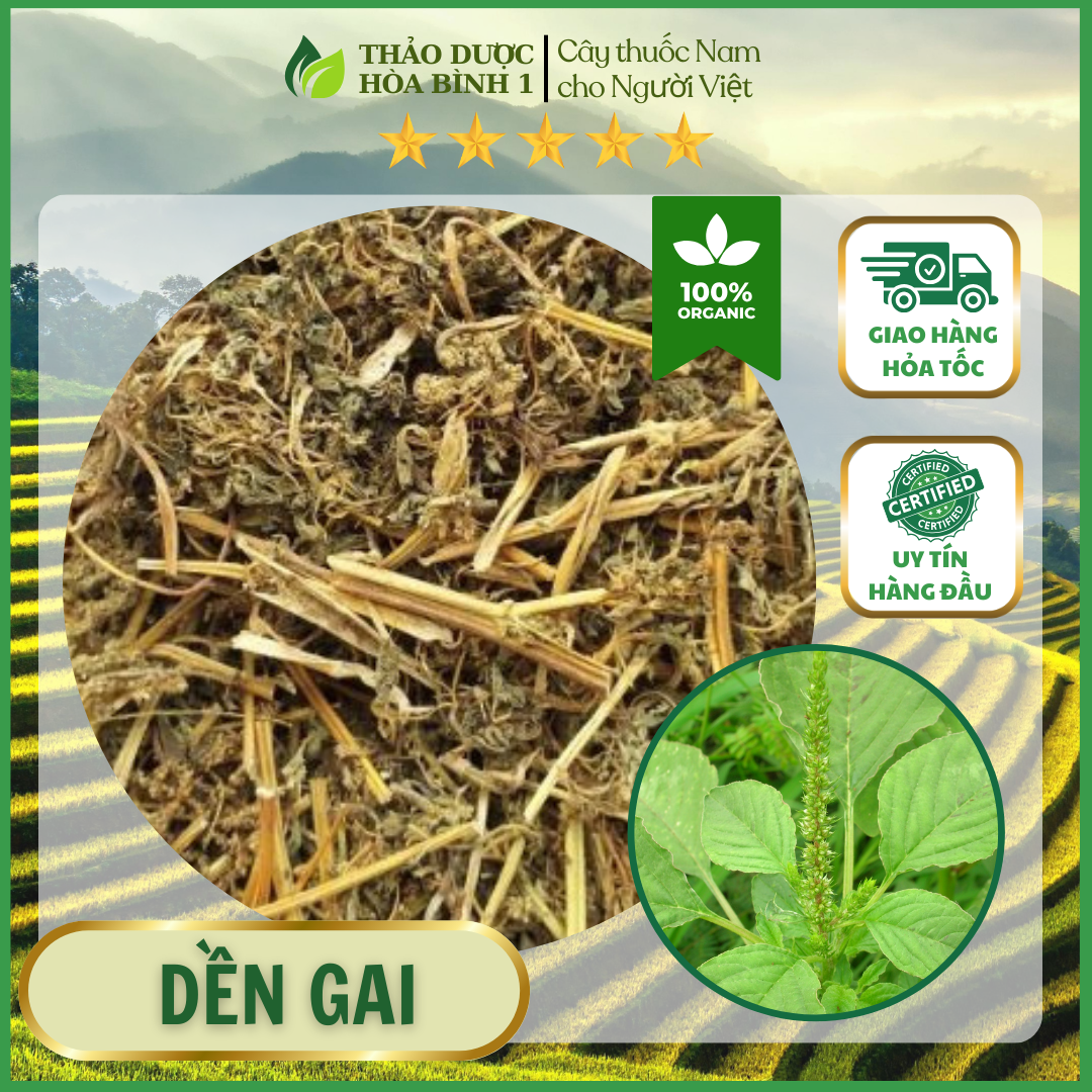 1kg cây dền gai khô thơm sạch HB195