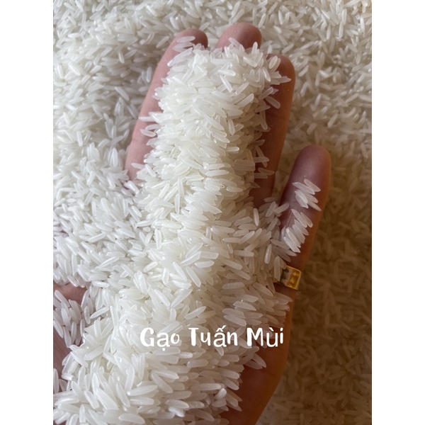 Gạo lài bún thơm dẻo ngon cơm