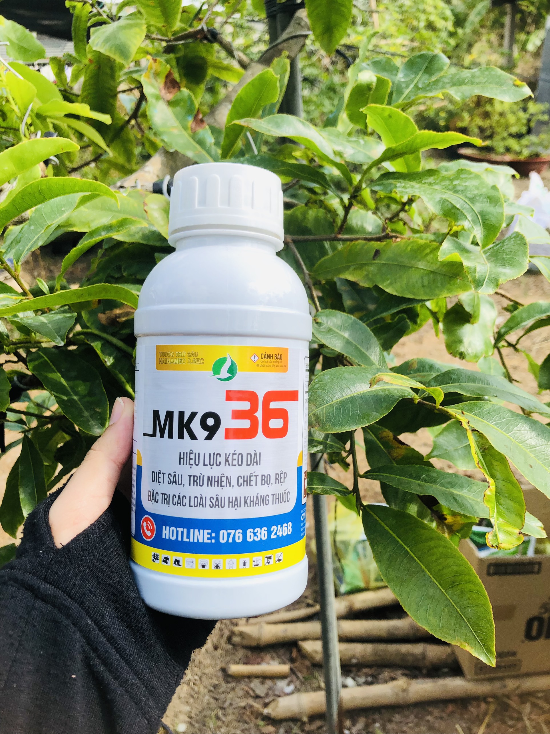 Abamectin 3.6 Diệt sâu - Trừ nhện, đánh bay bọ trĩ