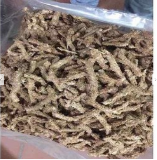 Rêu sâu Chile trồng lan - 1kg rêu sâu