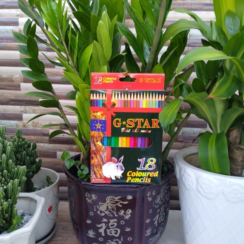 Bút chì màu gỗ 12 -18 -24 màu gstar