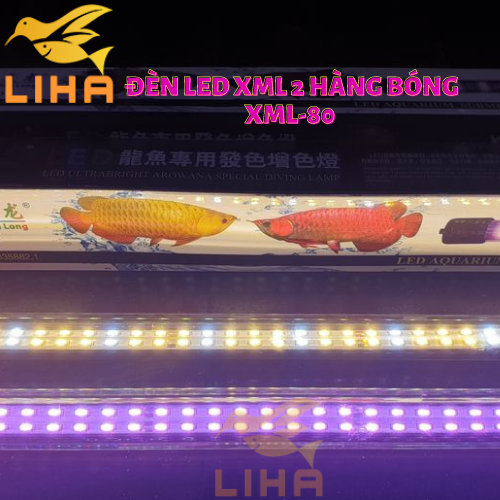 Đèn led xml 2 hàng bóng xml-80 - led thủy tinh xuanmeilong chuyên dụng cho cá cảnh