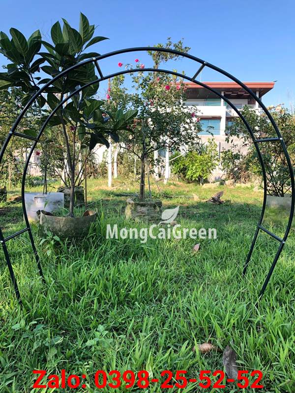 Khung cổng vòm rộng 1m2 cao 1m3 sắt phi 16mm màu xanh cho hoa leo - mcg-vc, chất lượng đảm bảo an toàn đến sức khỏe người sử dụng, cam kết hàng đúng mô tả