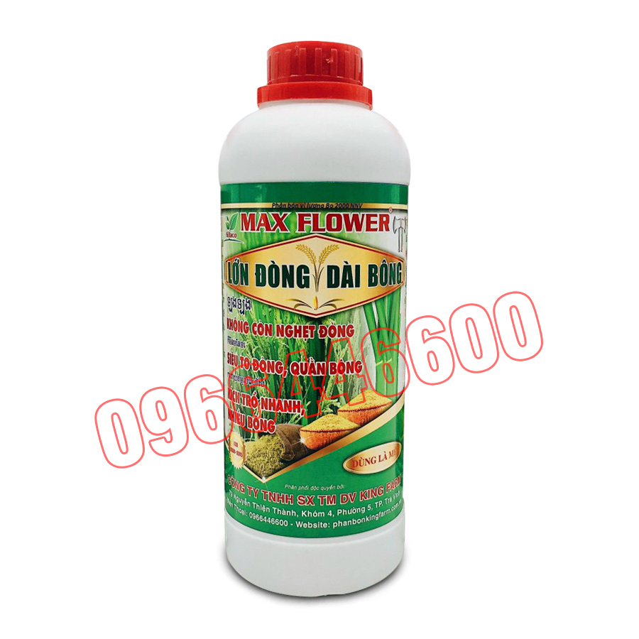 PHÂN BÓN LÁ - LỚN ĐÒNG DÀI BÔNG