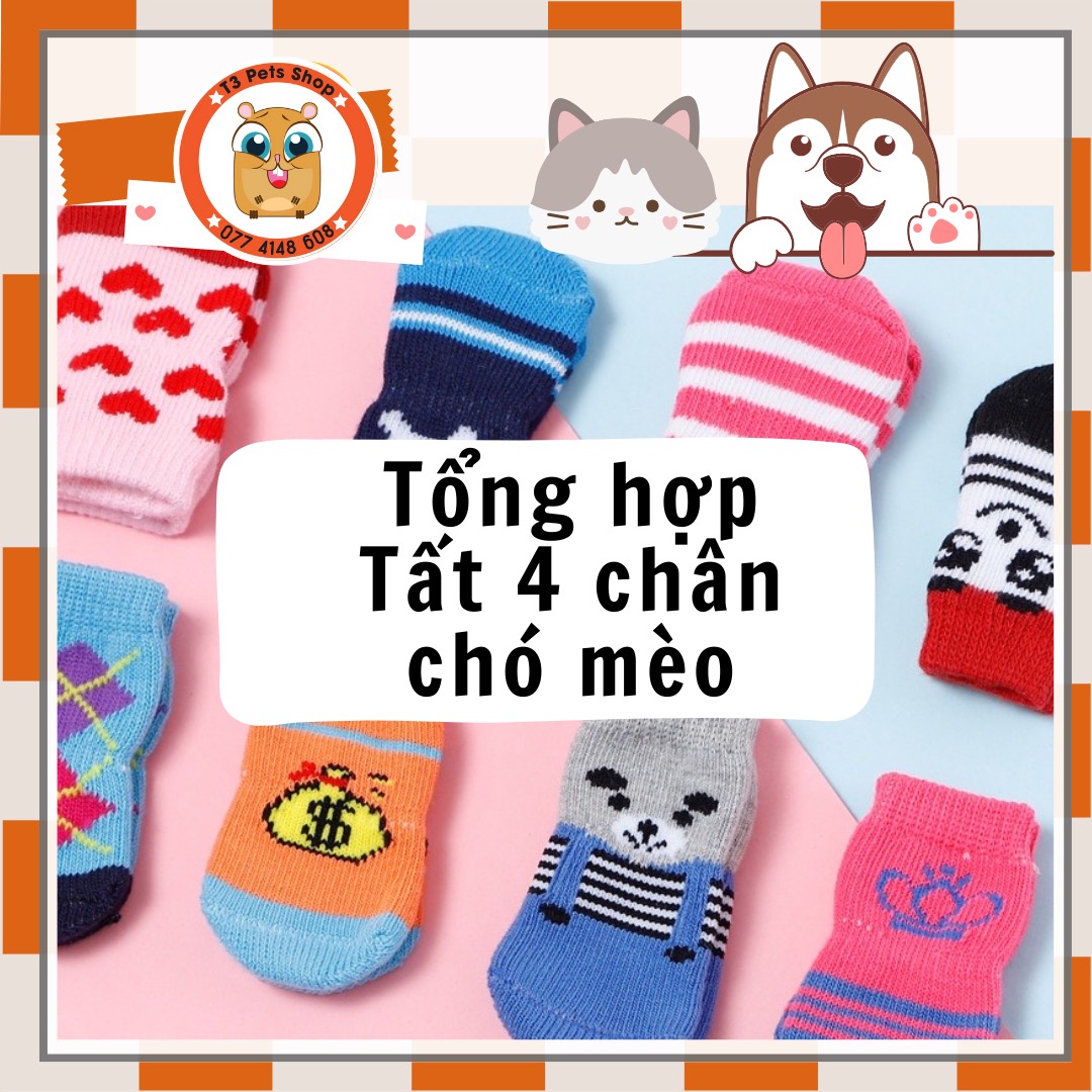 Vớ 4 chân giữ ấm, đỡ dơ chân cho chó mèo