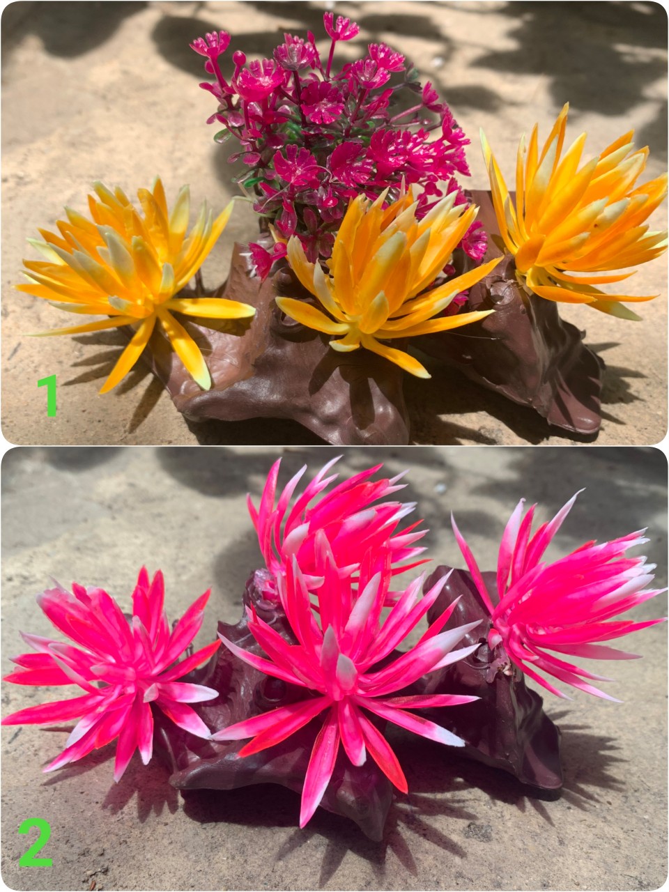 [HCM][ Chọn màu ngẫu nhiên] Bụi hoa lùn trang trí bể cá hòn non bộ .