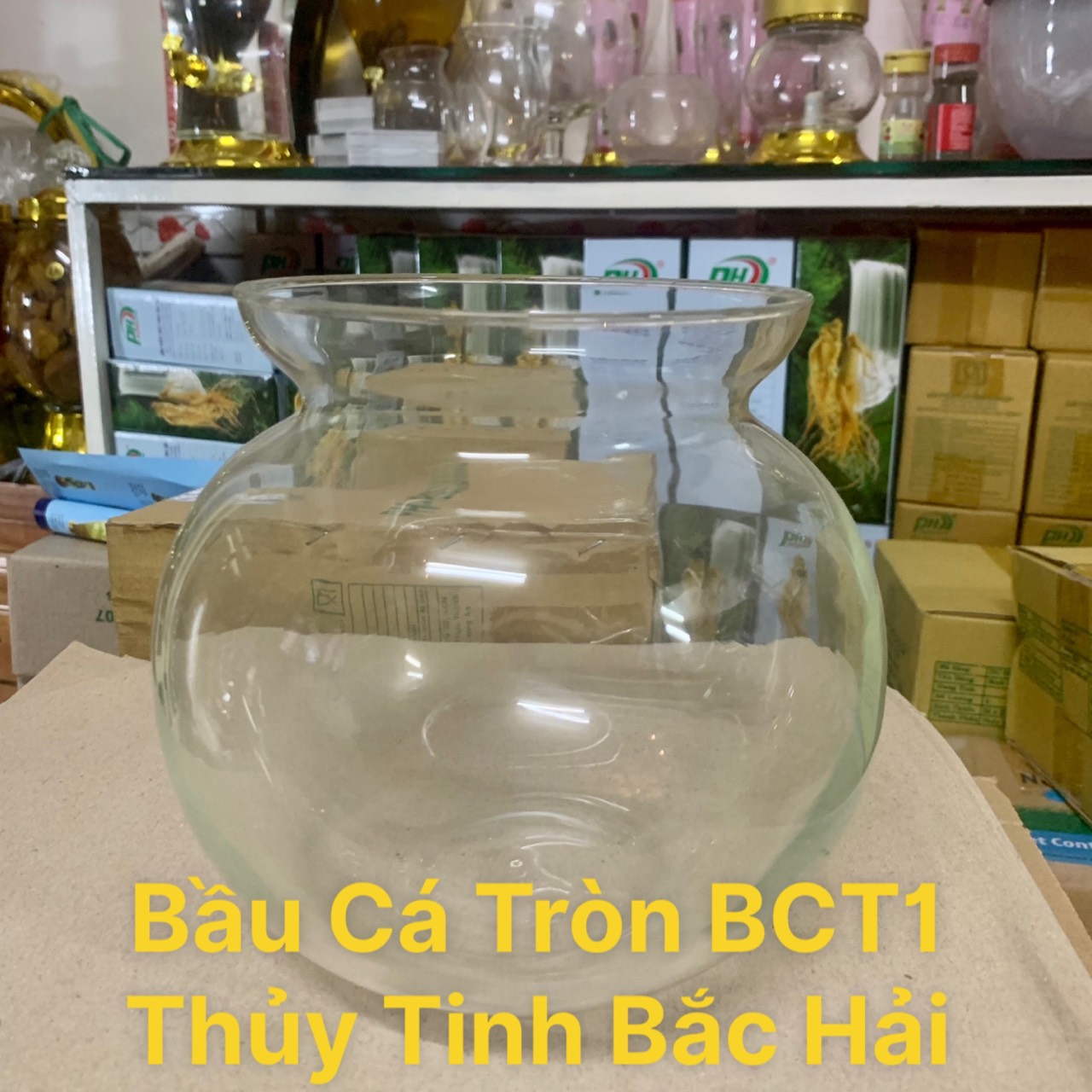 [HCM]BỂ CÁ THỦY TINHHỒ CÁ MINICHẬU CÂY THỦY SINH ĐỂ BÀN-THỦY TINH BẮC HẢI MẪU BCT1
