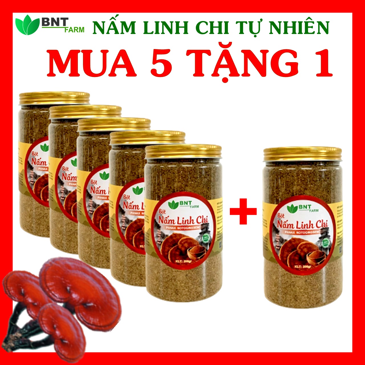 Bột Nấm linh chi tự nhiên BNT FARM 200G, Loại 1, Phòng chống ung thư, điều hoà huyết áp, tim mạch.Đạt chuẩn Bộ y tế QĐ46/2007/BYT