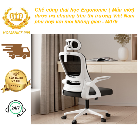 Ghế công thái học Ergonomic ( Mẫu mới) Hottt được ưa chuộng trên thị trường Việt Nam phù hợp với mọi không gian - M079