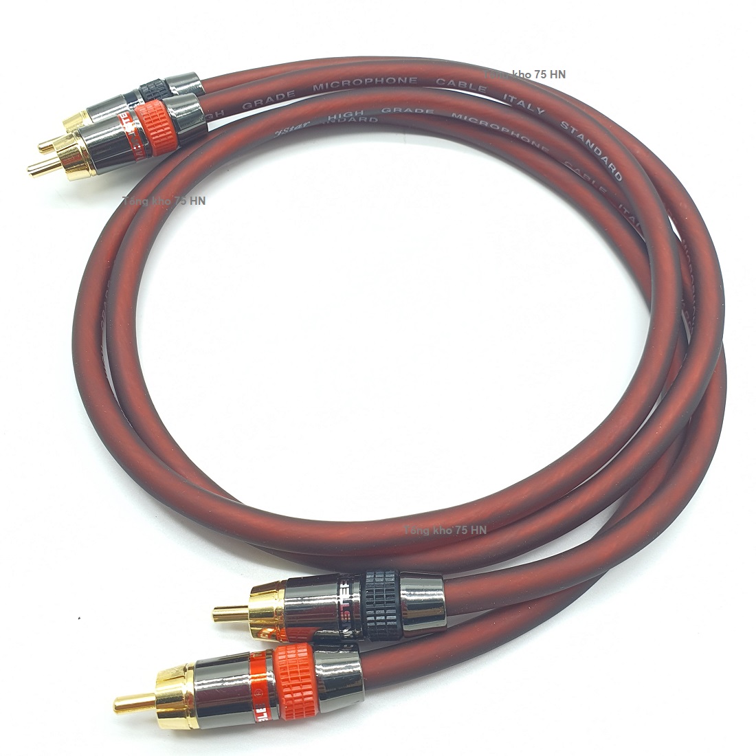 01 cặp dài 1m dây av audio monster dây av italy