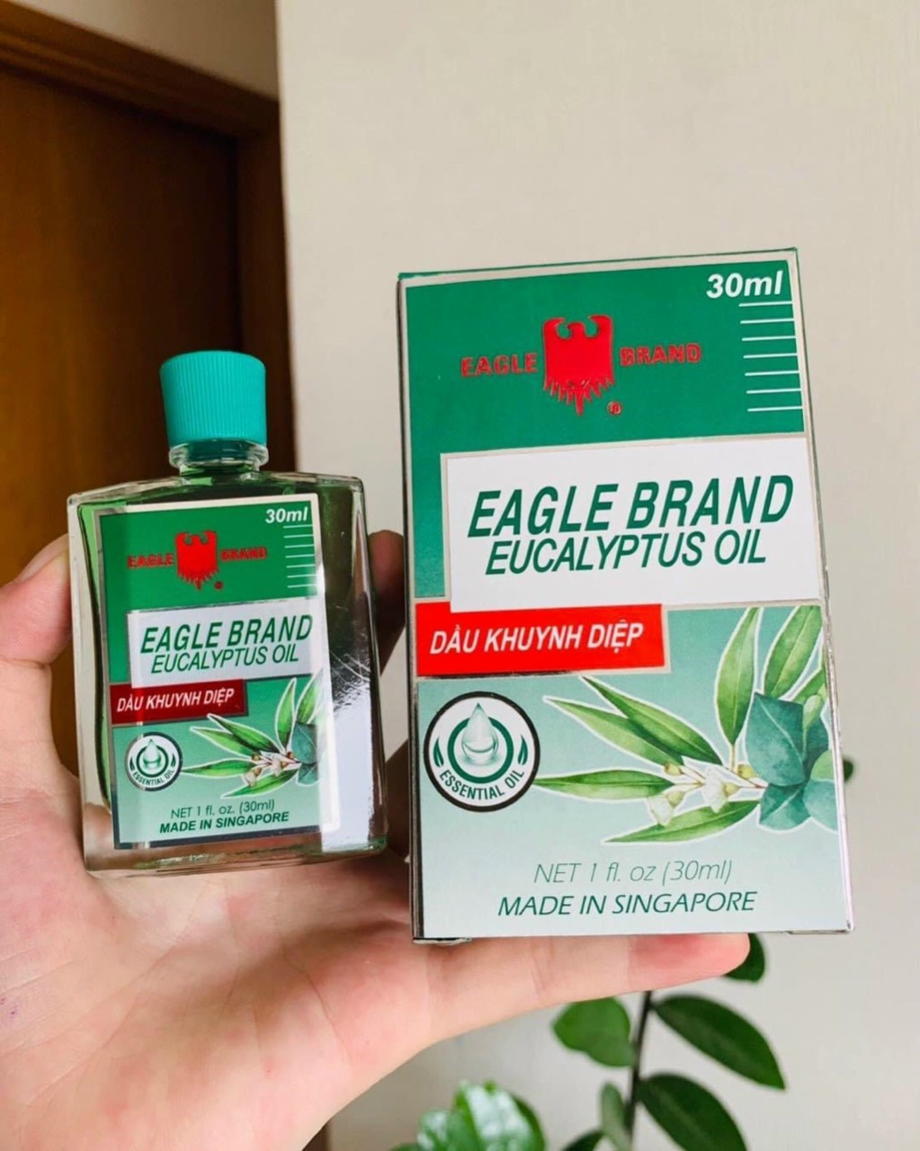 Dầu khuynh diệp con ó eagle brand eucalyptus oil