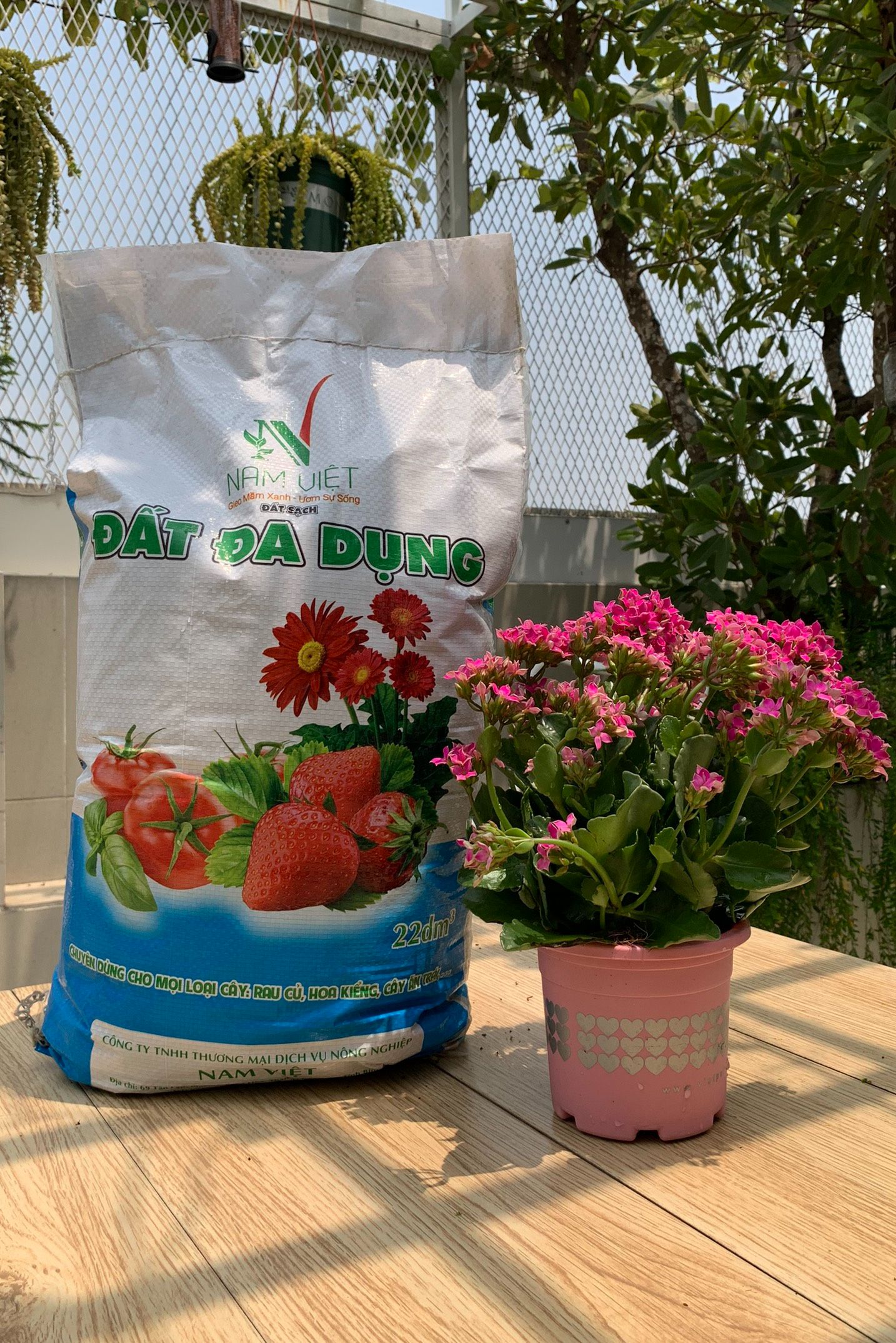 Đất trồng cây hữu cơ namviet VIETPOT, bao 10kg, phù hợp trồng rau, cây lấy trái, hoa, giúp cây phát triển tốt.