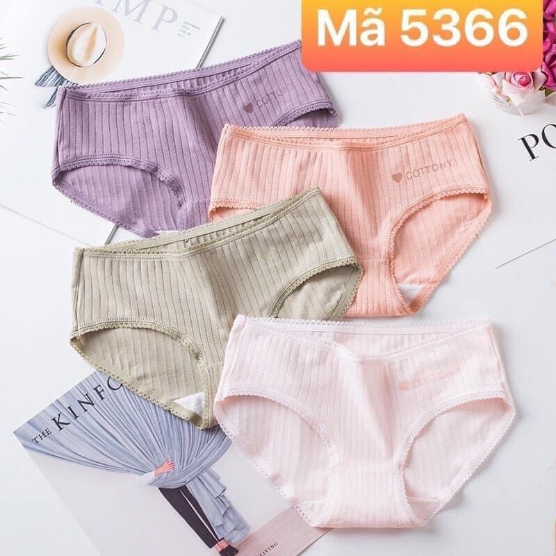Combo 5 quần cotton tăm siêu đẹp , minhquang 2017