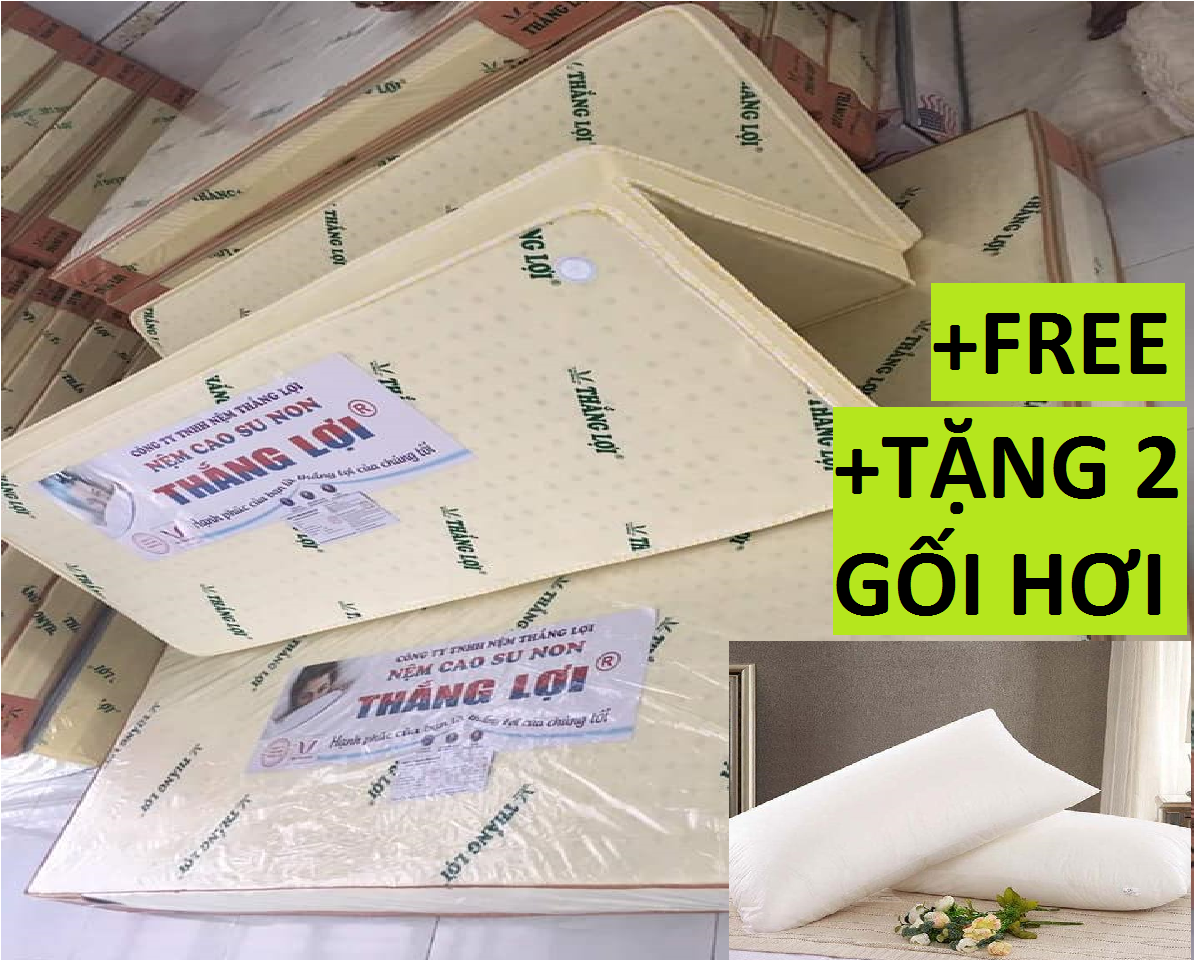 [HCM]Nệm size 1m2 x2m x10cm Cao Su Thắng Lợi Gấp 3 Cao Cấp Tặng Kèm 2 Gối Hơi Cao Cấp