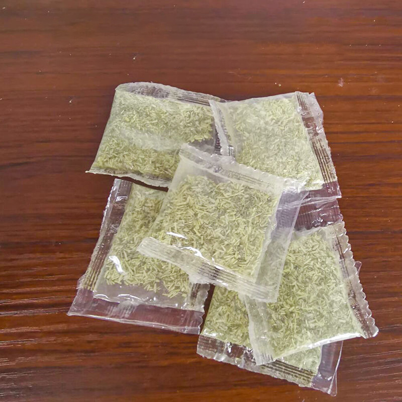 10 gói cỏ mèo canip bạc hà nhập khẩu gói 2g