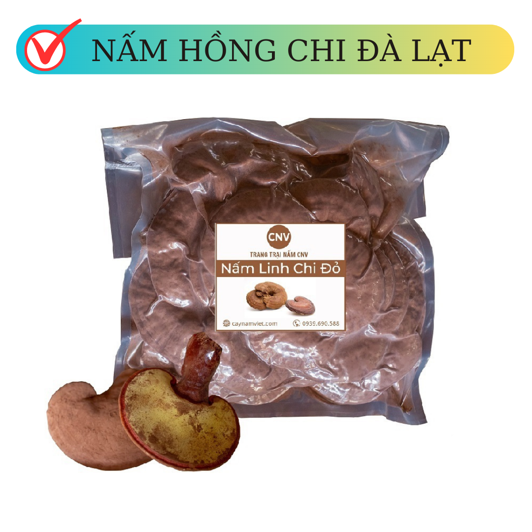 Nấm linh chi đỏ Hồng Chi Đà Lạt loại đẹp 500g (vị đắng cao) - Cây Nấm Việt