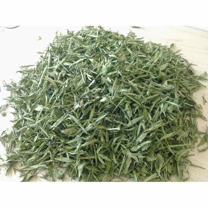 1 kg of dinh lang leaves dried star anise leaves gt051