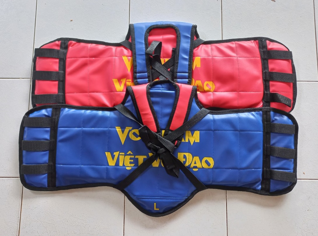 Giáp Vovinam 2 Mặt