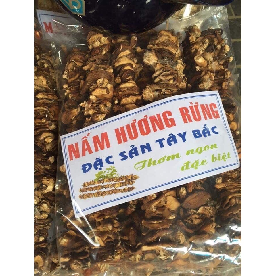Nấm hương rừng tây bắc - nấm từ đồng bào tây bắc tự nhiên_tdpt