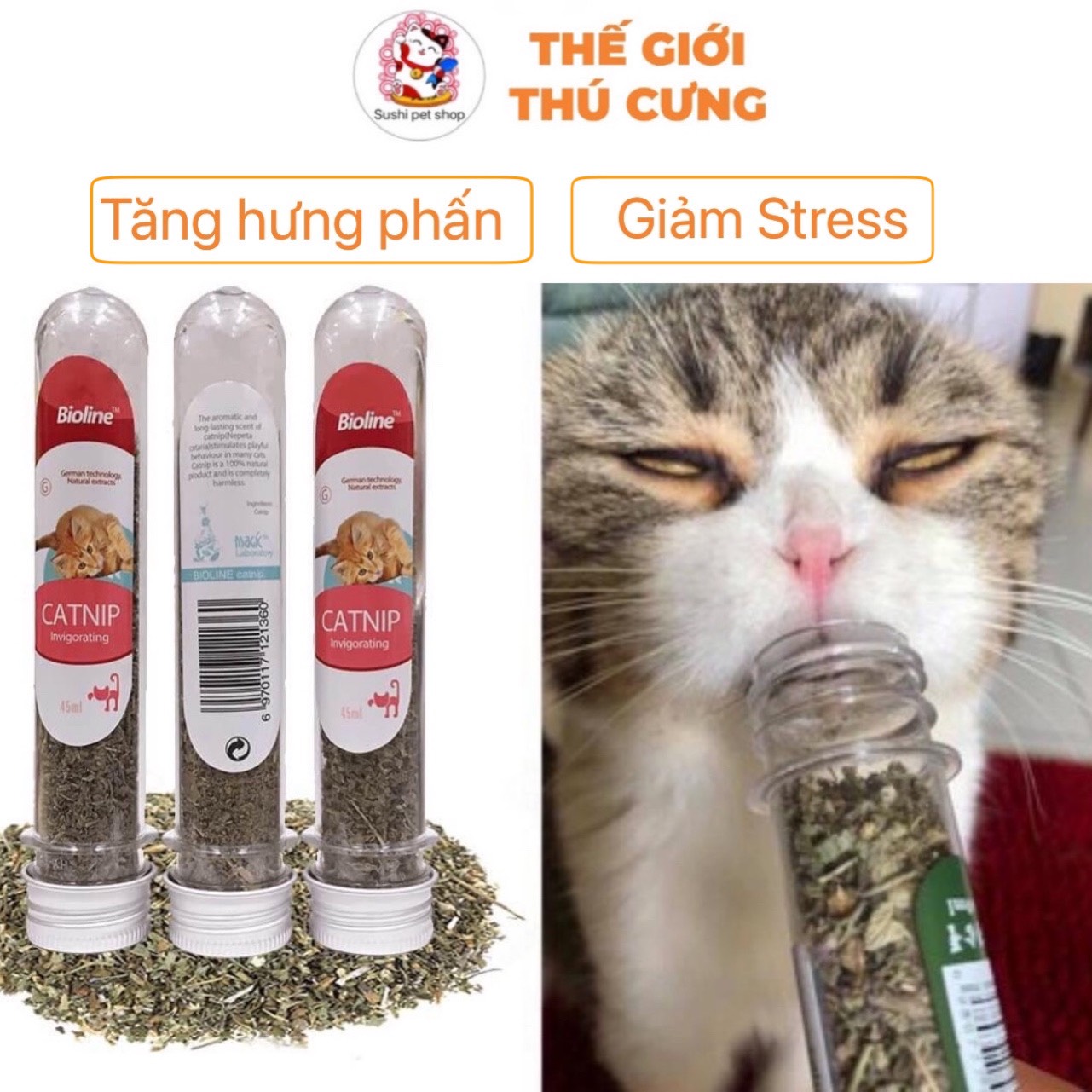 Cỏ bạc hà , cỏ mèo khô cho mèo 20g