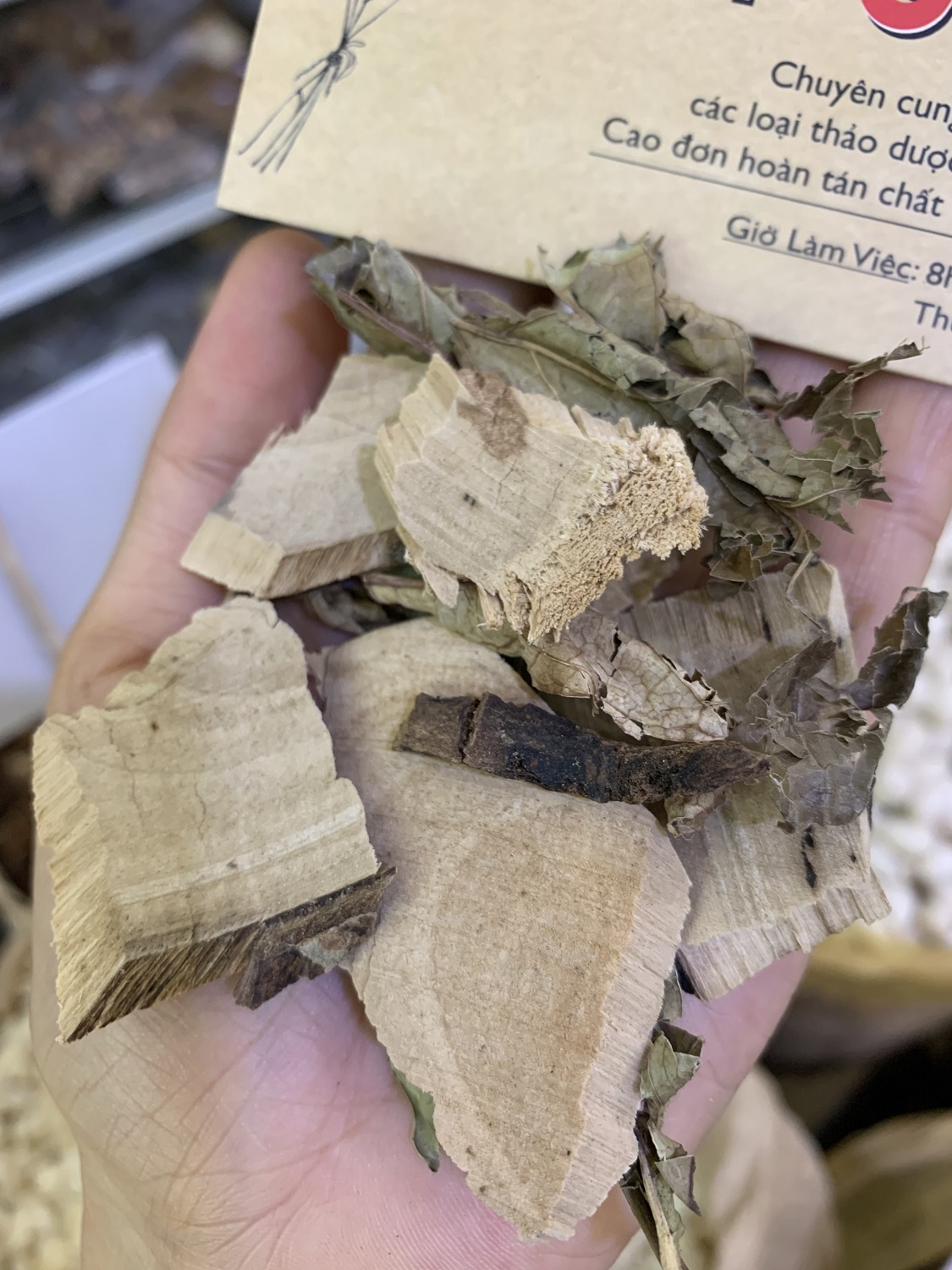 Cây xạ đen hữu cơ 500gram tiệm thuốc bắc sài gòn