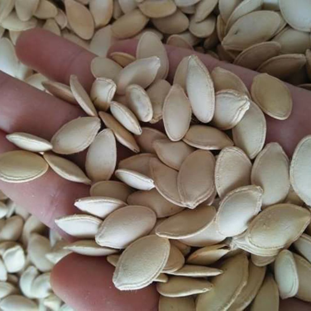 [HCM]hạt bí rang [ TÚI 200G ]