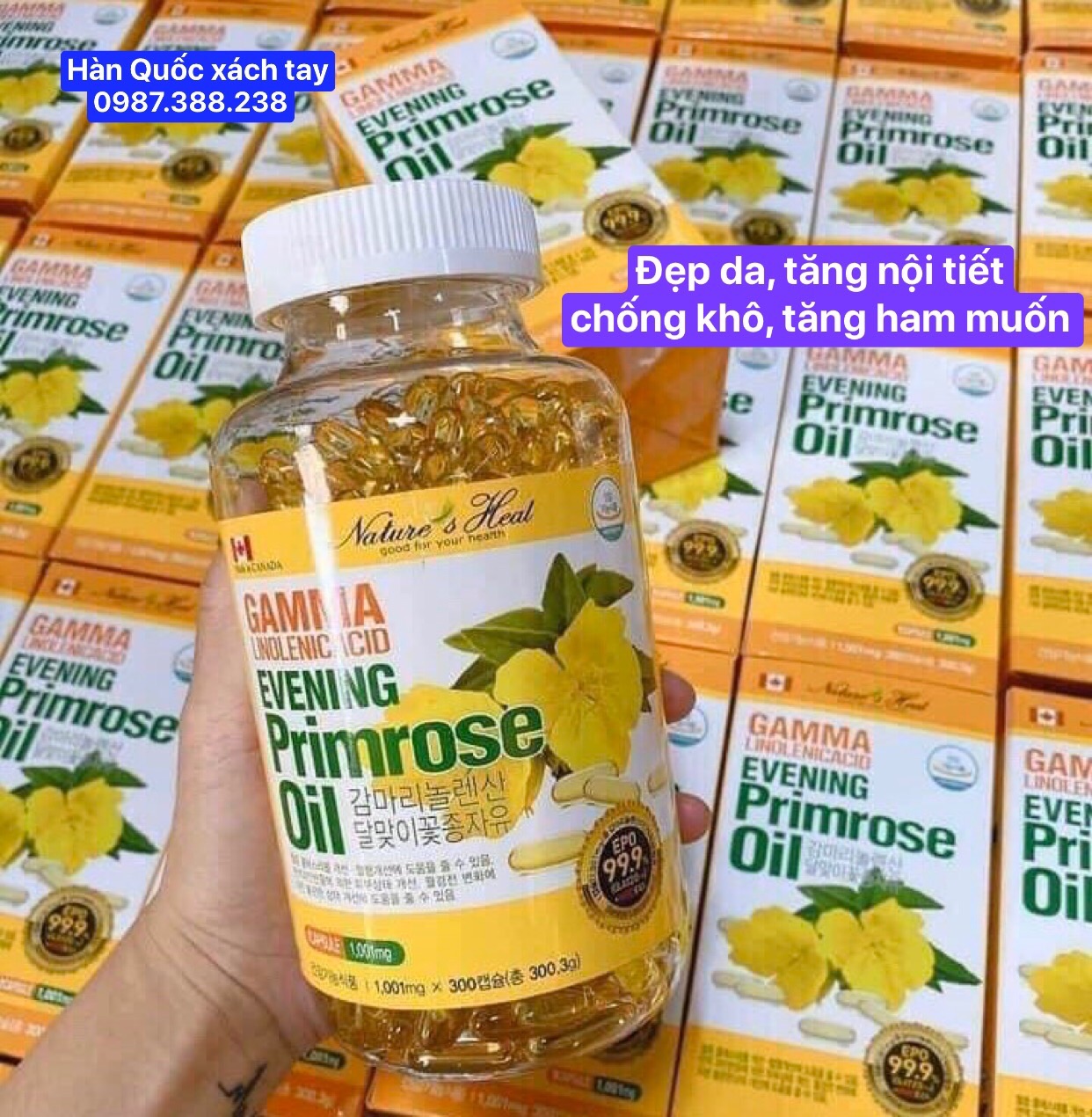 Hộp 300v dùng 6tháng- Tinh dầu hoa anh thảo Hàn Quốc- Giúp phụ nữ duy trì thanh xuân