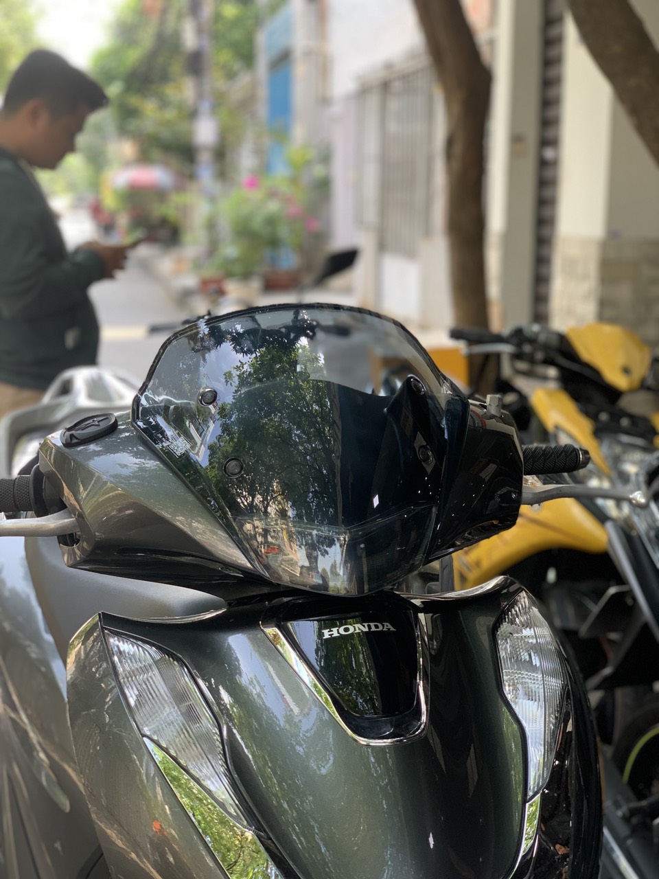 Kính chắn gió zhi.pat shvn 2020