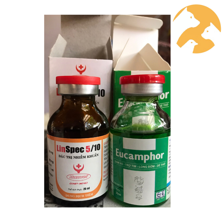 Combo kết hợp Linspec 5/10 và Eucamphor [20 ml] dứt điểm khẹt, khò khè gà đá