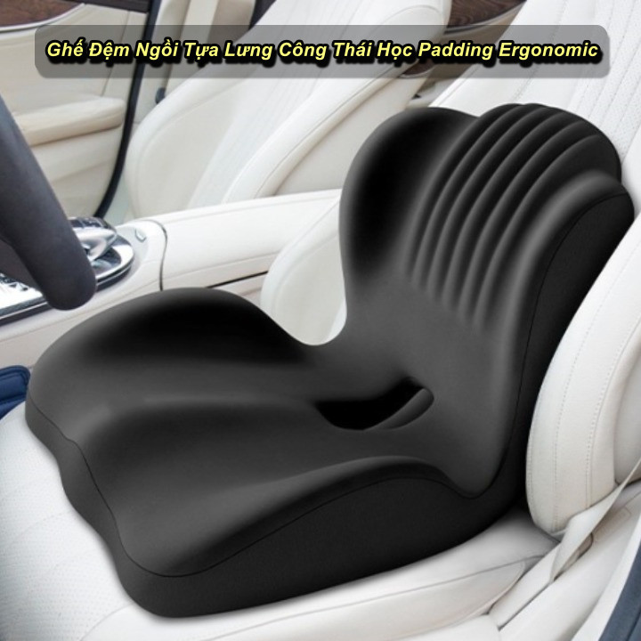 Ghế Đệm Ngồi Tựa Lưng Công Thái Học Padding Ergonomic - WorldMart